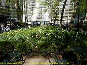 138 - Bryant park